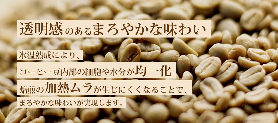 氷温熟成珈琲