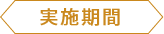 実施期間